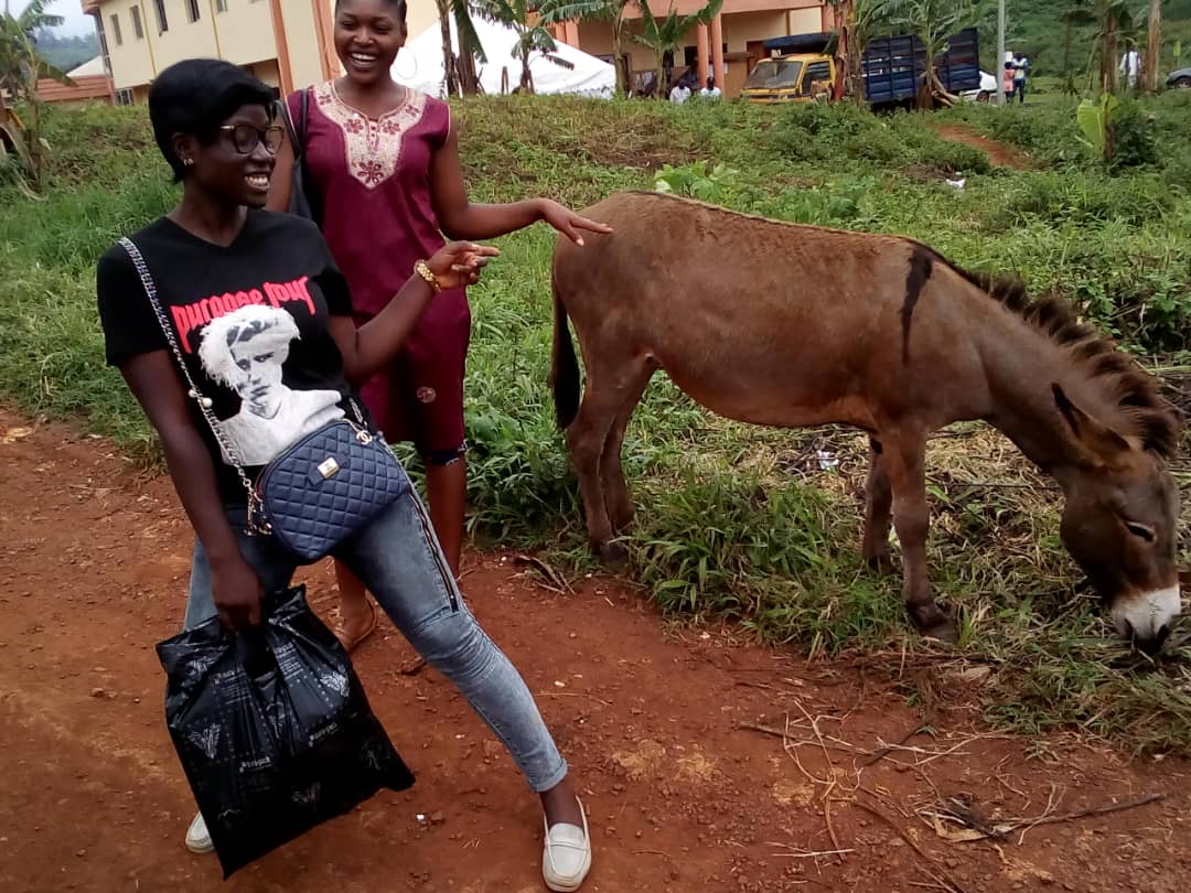 AFECAM Missions Dschang, 2019